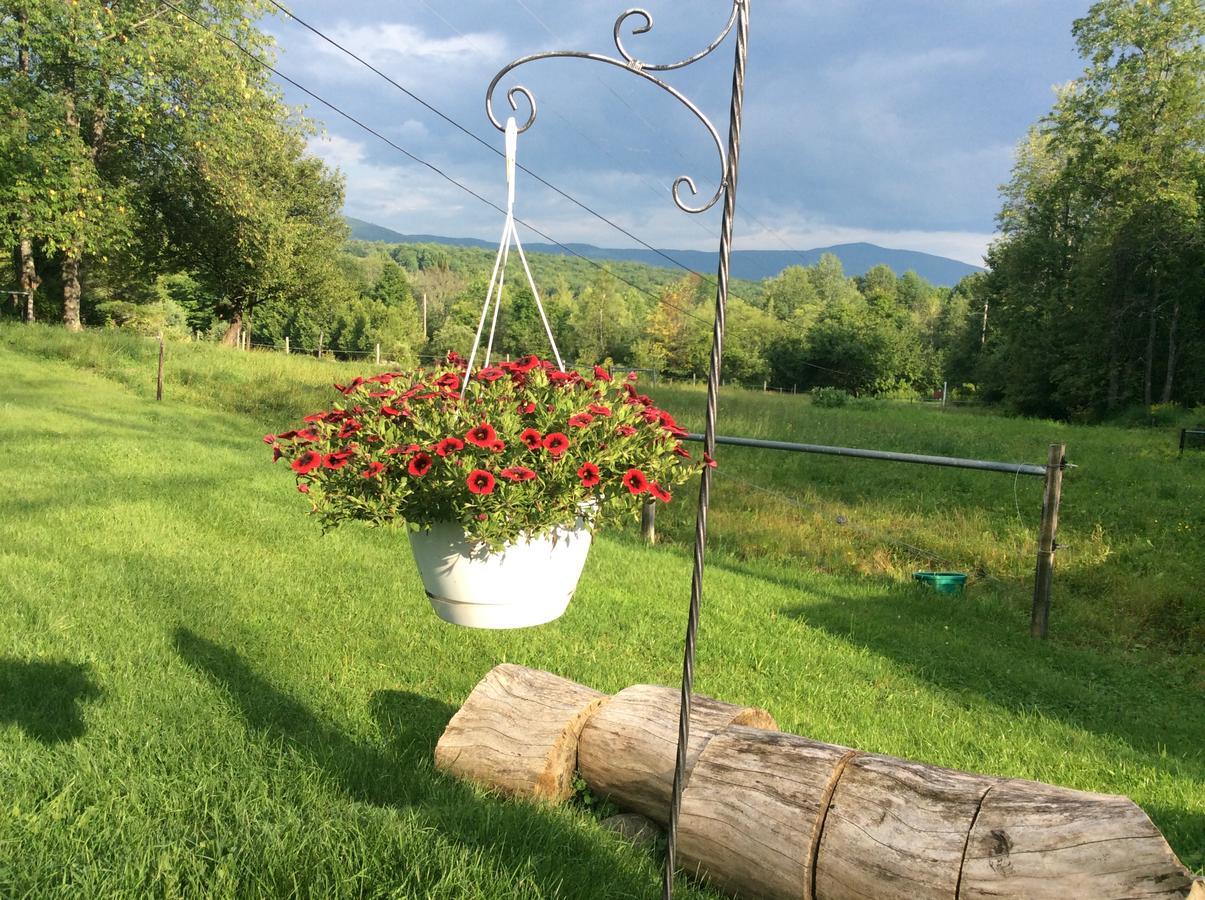 Firefly Bed & Breakfast Линкольн Экстерьер фото