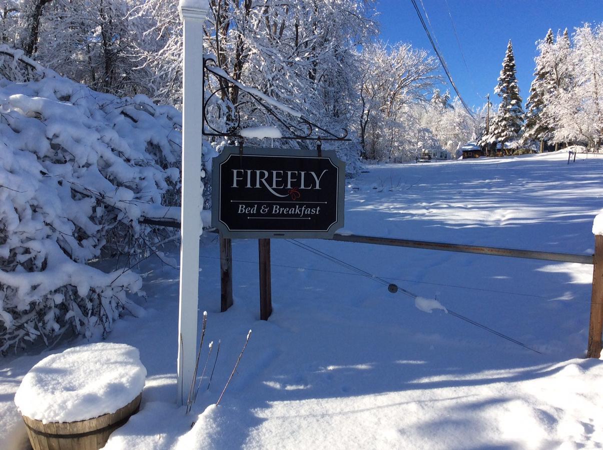 Firefly Bed & Breakfast Линкольн Экстерьер фото