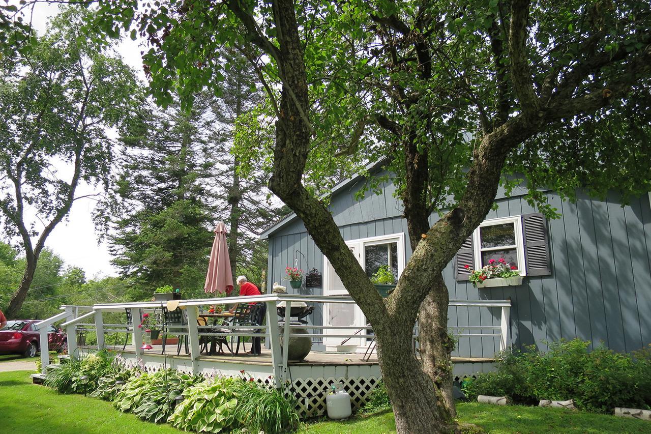 Firefly Bed & Breakfast Линкольн Экстерьер фото