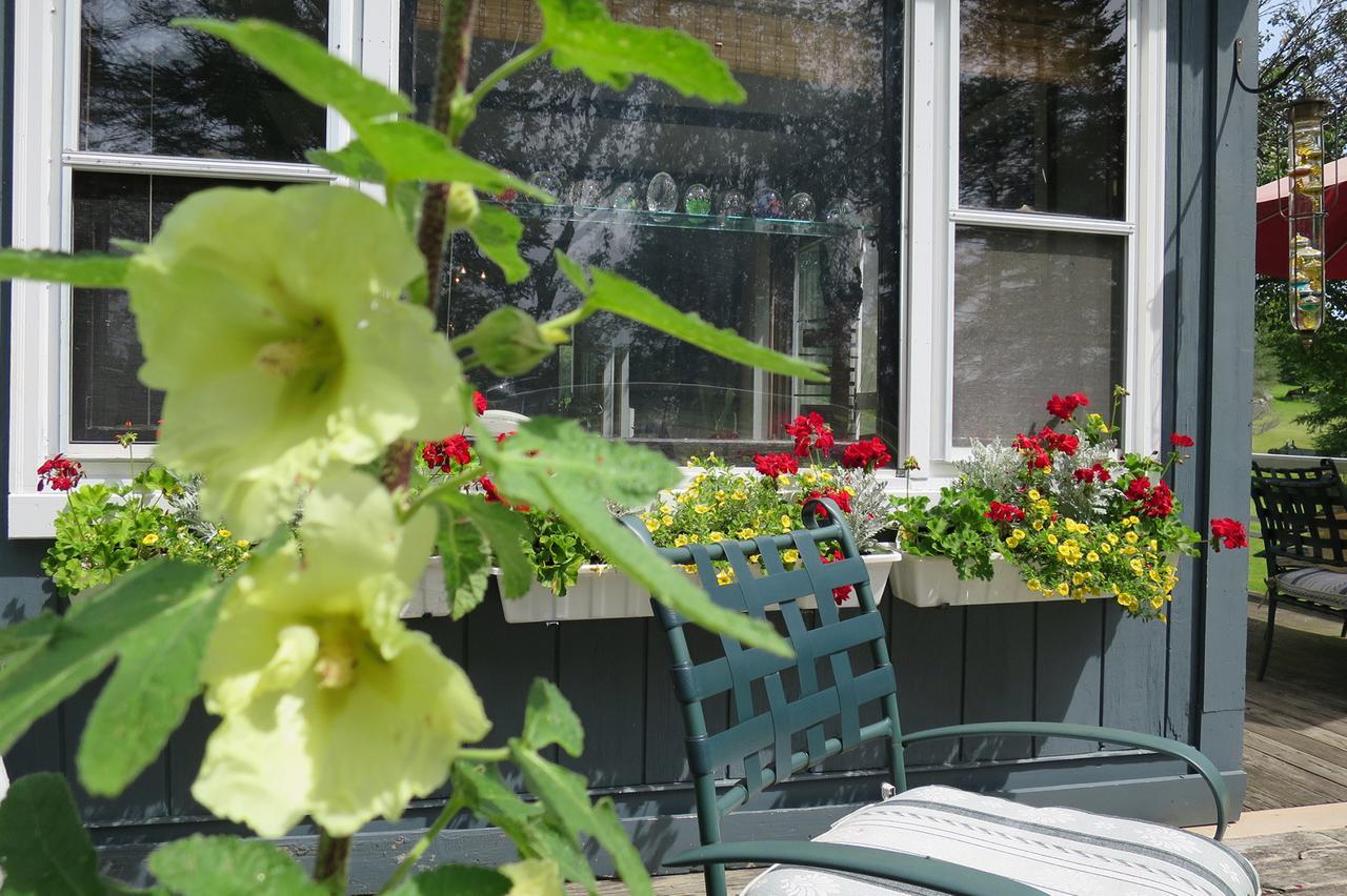 Firefly Bed & Breakfast Линкольн Экстерьер фото