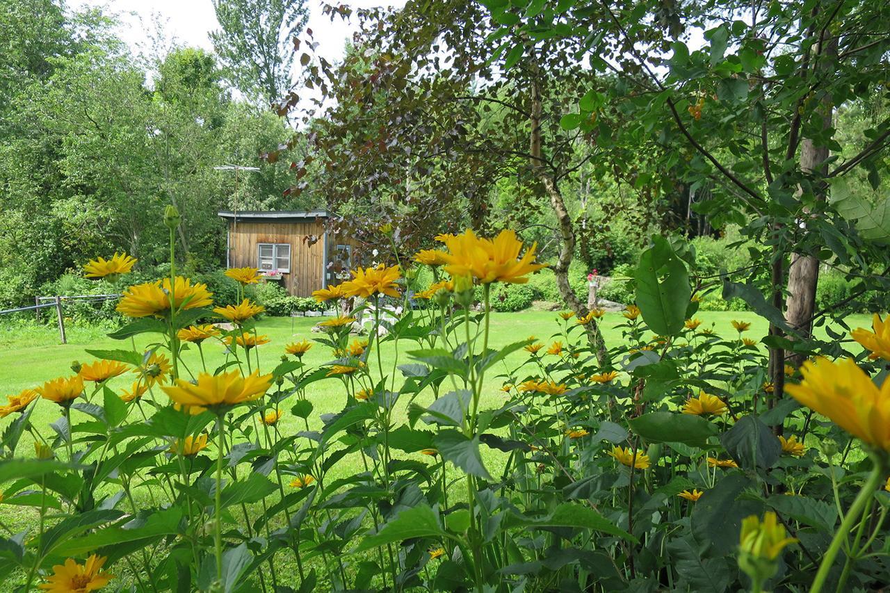 Firefly Bed & Breakfast Линкольн Экстерьер фото