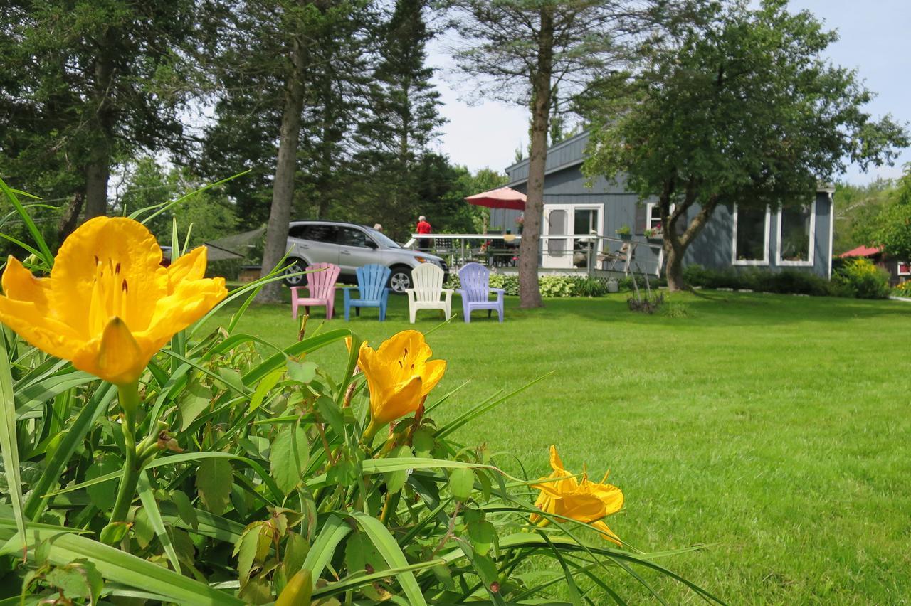 Firefly Bed & Breakfast Линкольн Экстерьер фото