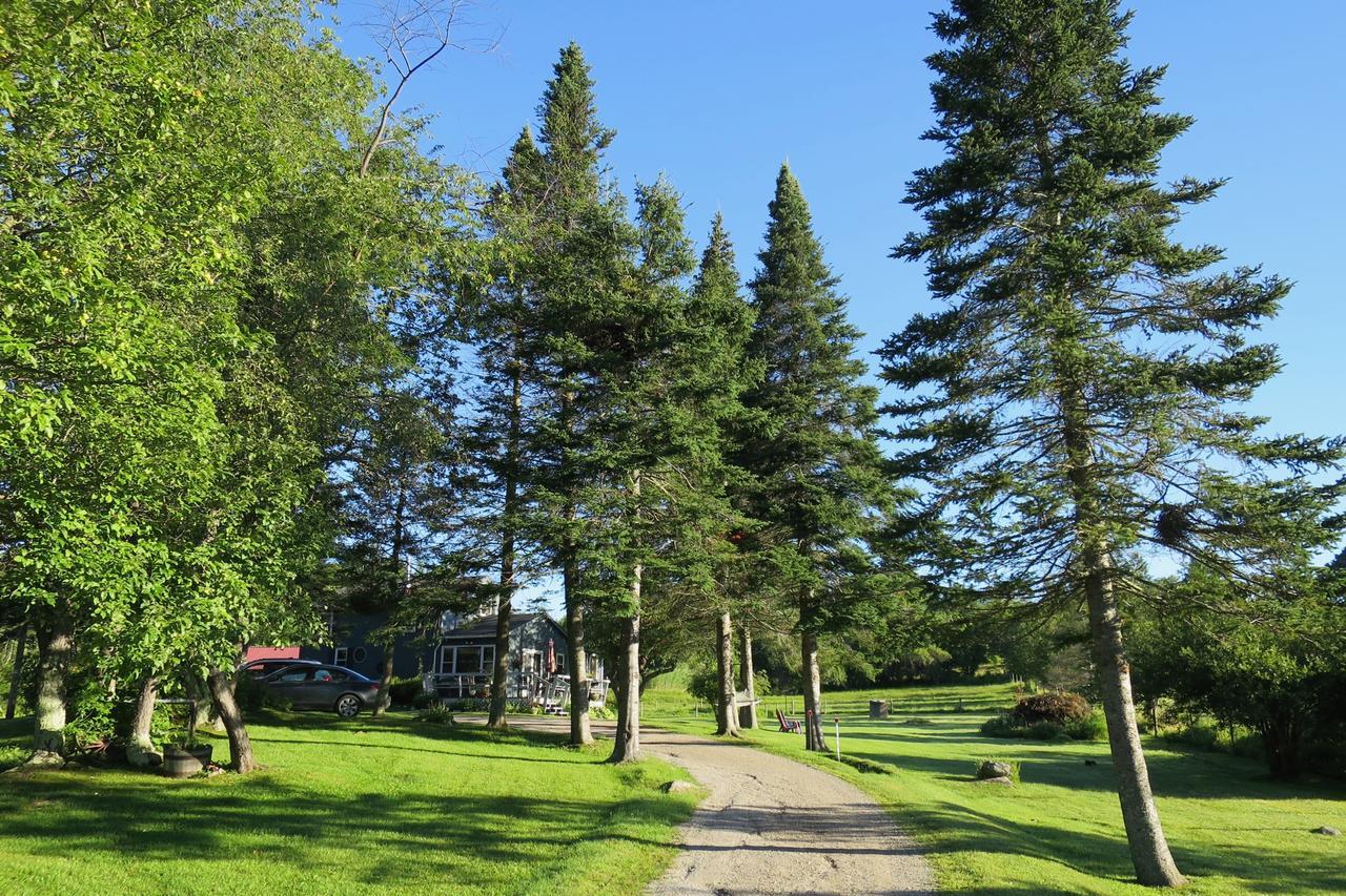 Firefly Bed & Breakfast Линкольн Экстерьер фото