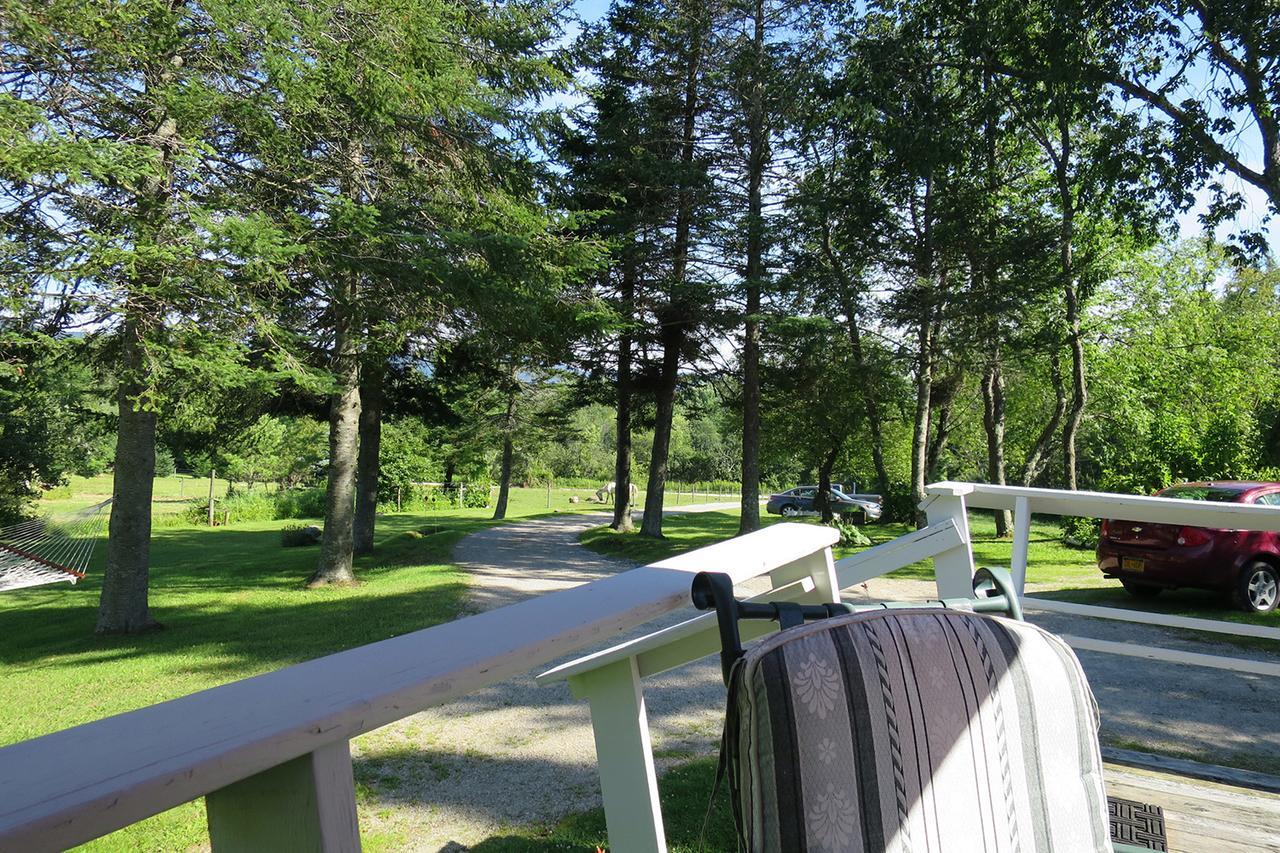 Firefly Bed & Breakfast Линкольн Экстерьер фото