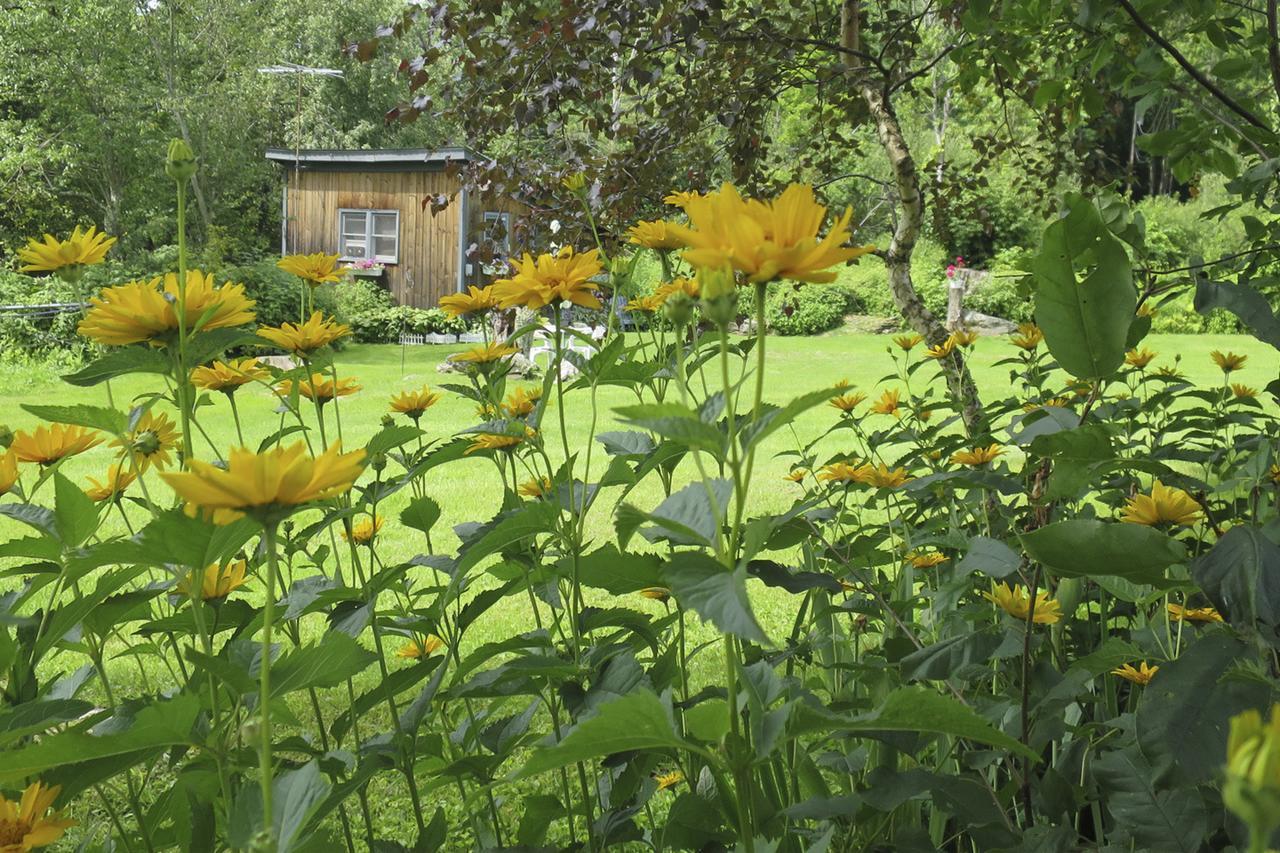Firefly Bed & Breakfast Линкольн Экстерьер фото